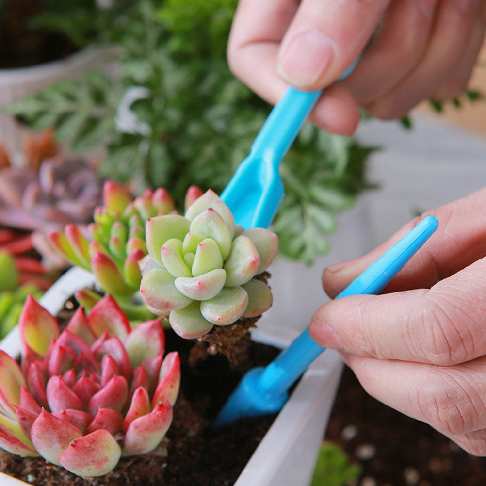 Soil Scoop Tool - 1Set Garden Tool Kit Succulent Planting