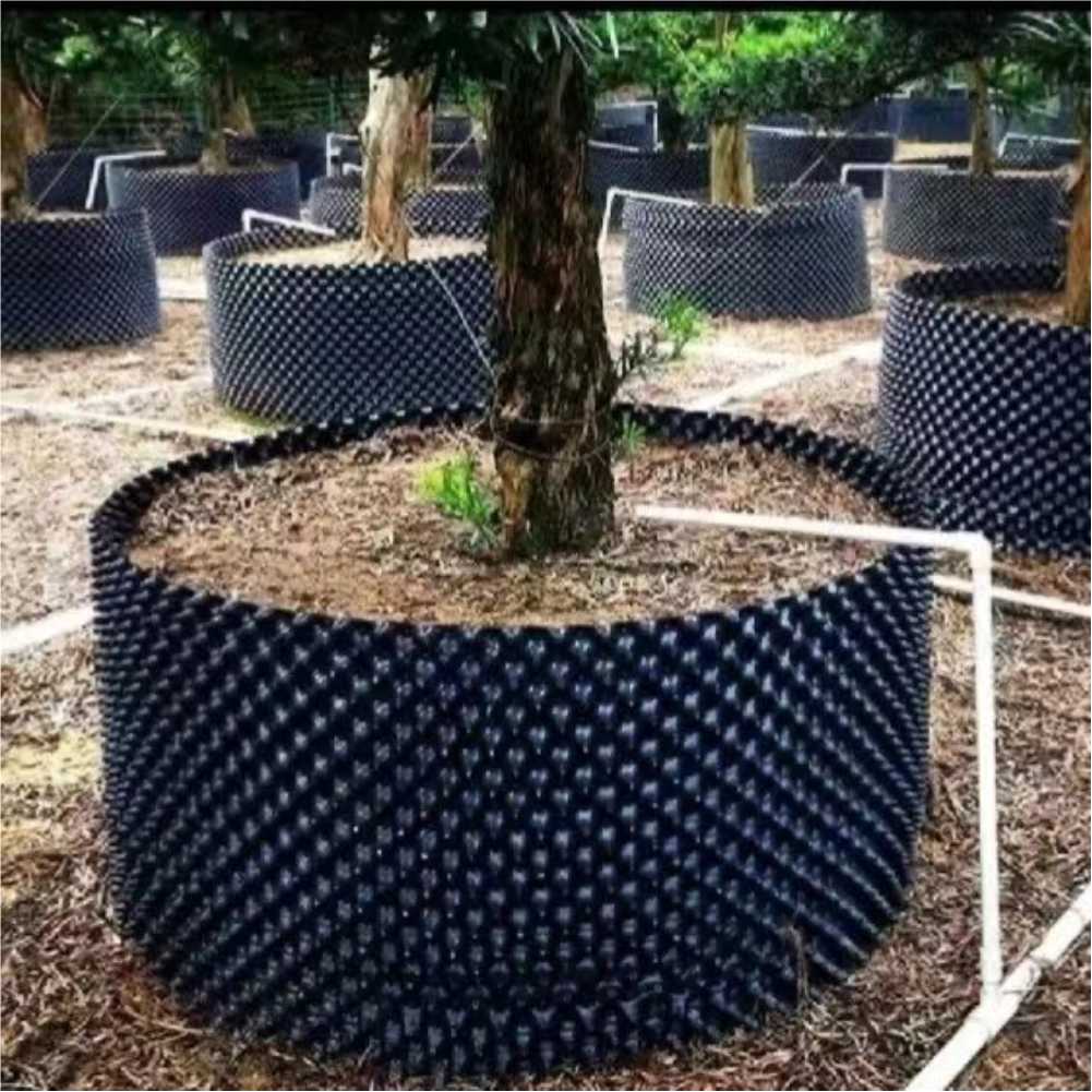 Bonsai Garden Tree - Grow Container Garden Tree Bonsai Transplant