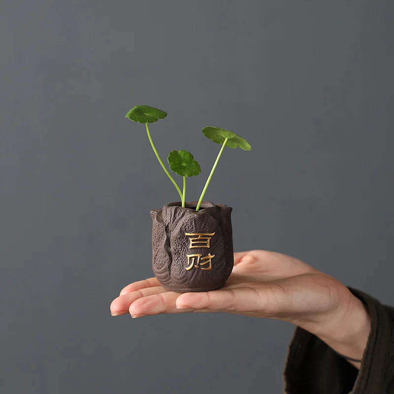 Creative Purple Clay Tea Pet F - Bonsai Garden Mini のレビューと価格