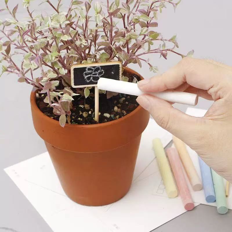 8Pcs Mini Blackboard Bonsai Ta - Bonsai Garden Mini のレビューと価格
