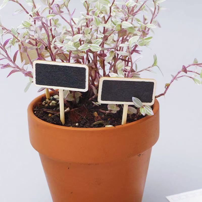 8Pcs Mini Blackboard Bonsai Ta - Bonsai Garden Mini のレビューと価格