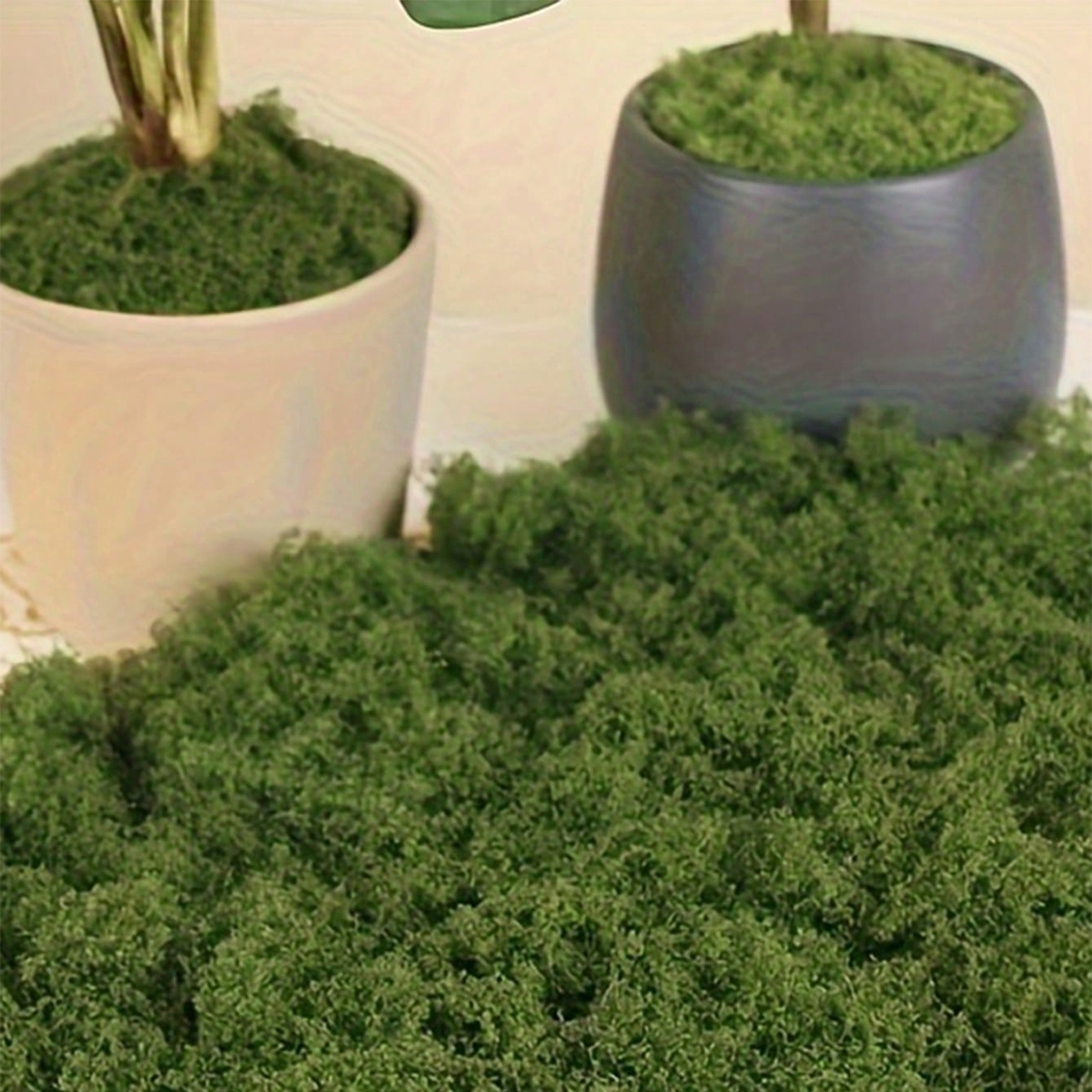250g Artificial Moss Decoratio - Bonsai Garden Landscape Design のレビューと価格