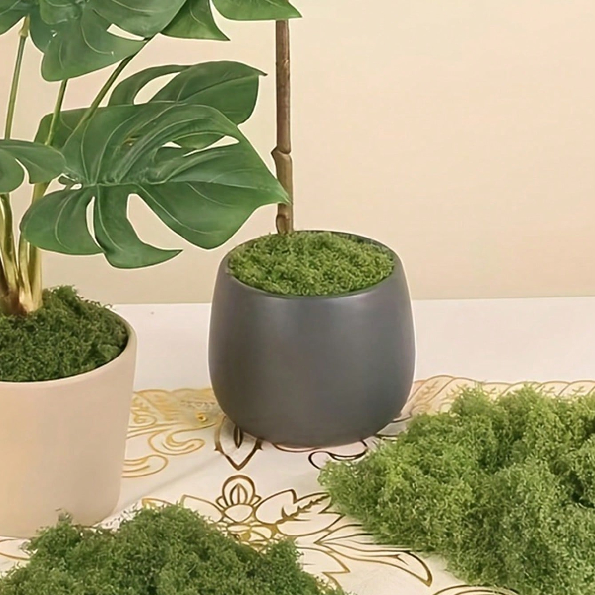 250g Artificial Moss Decoratio - Bonsai Garden Landscape Design のレビューと価格