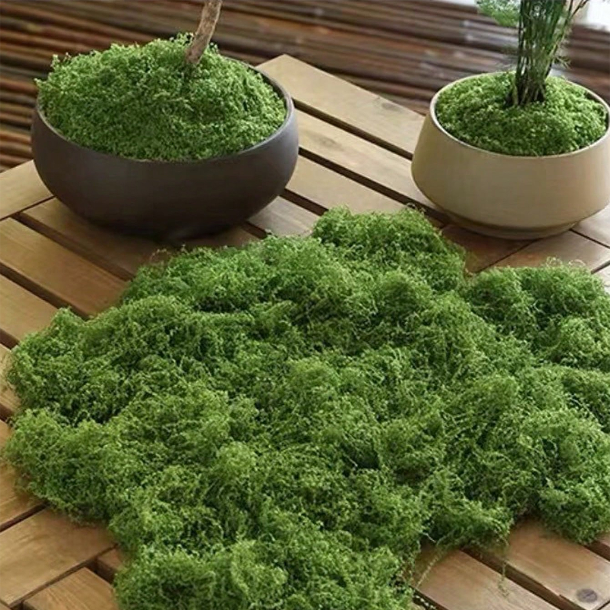 250g Artificial Moss Decoratio - Bonsai Garden Landscape Design のレビューと価格