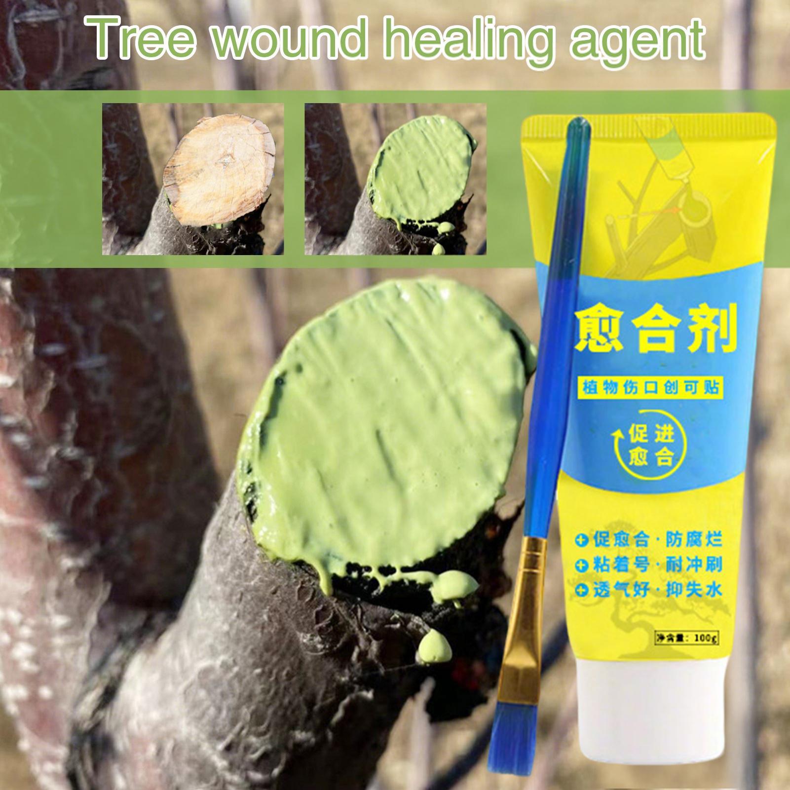 100g Tree Wound Bonsai Cut Pas - Bonsai Garden Tree のレビューと価格