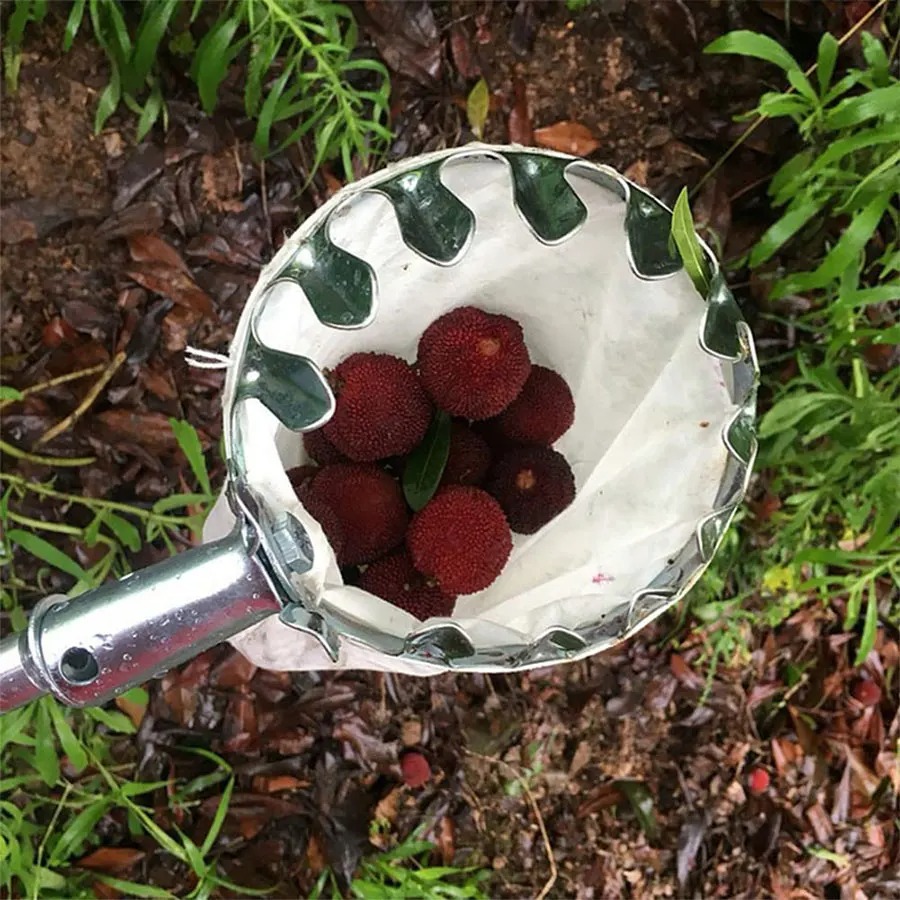Adjustable Tree Collector Mult - Bonsai Garden Tree のレビューと価格