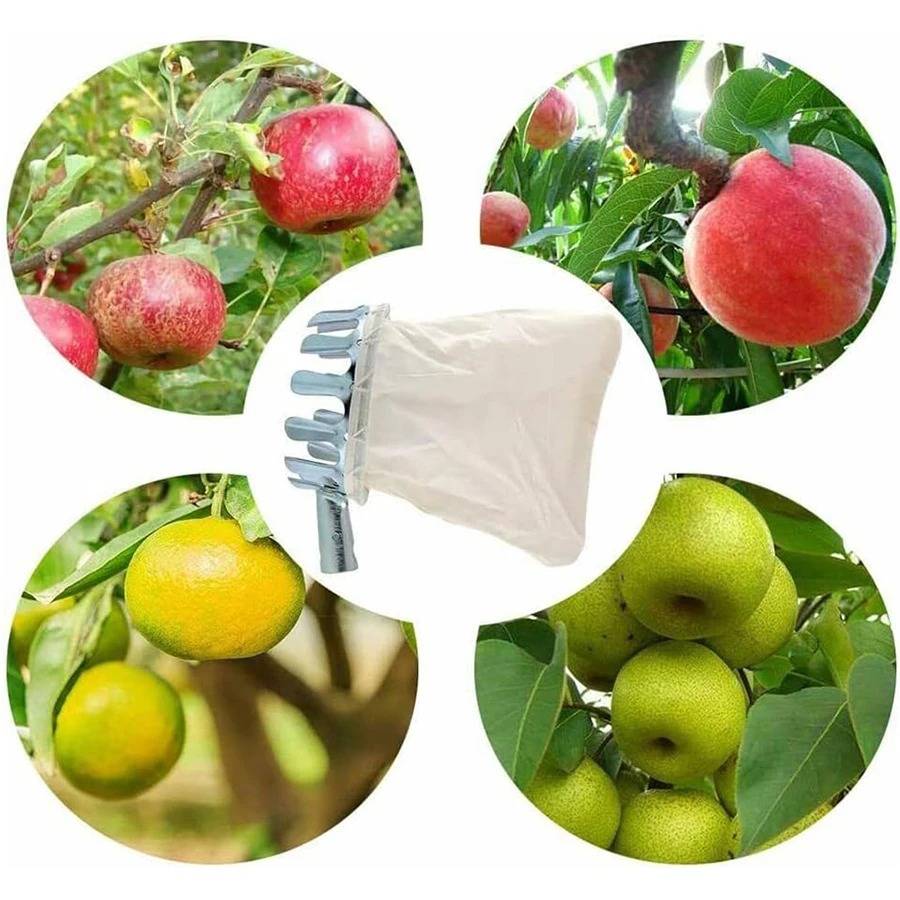 Adjustable Tree Collector Mult - Bonsai Garden Tree のレビューと価格