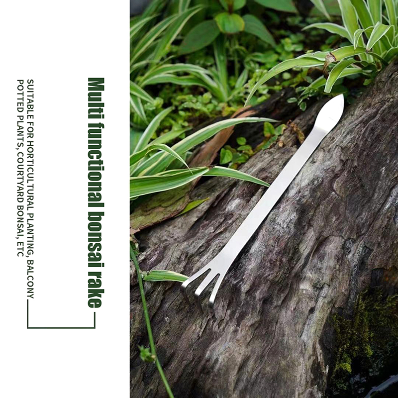 1Pc Stainless Steel Root Rake  - Bonsai Garden Tree のレビューと価格