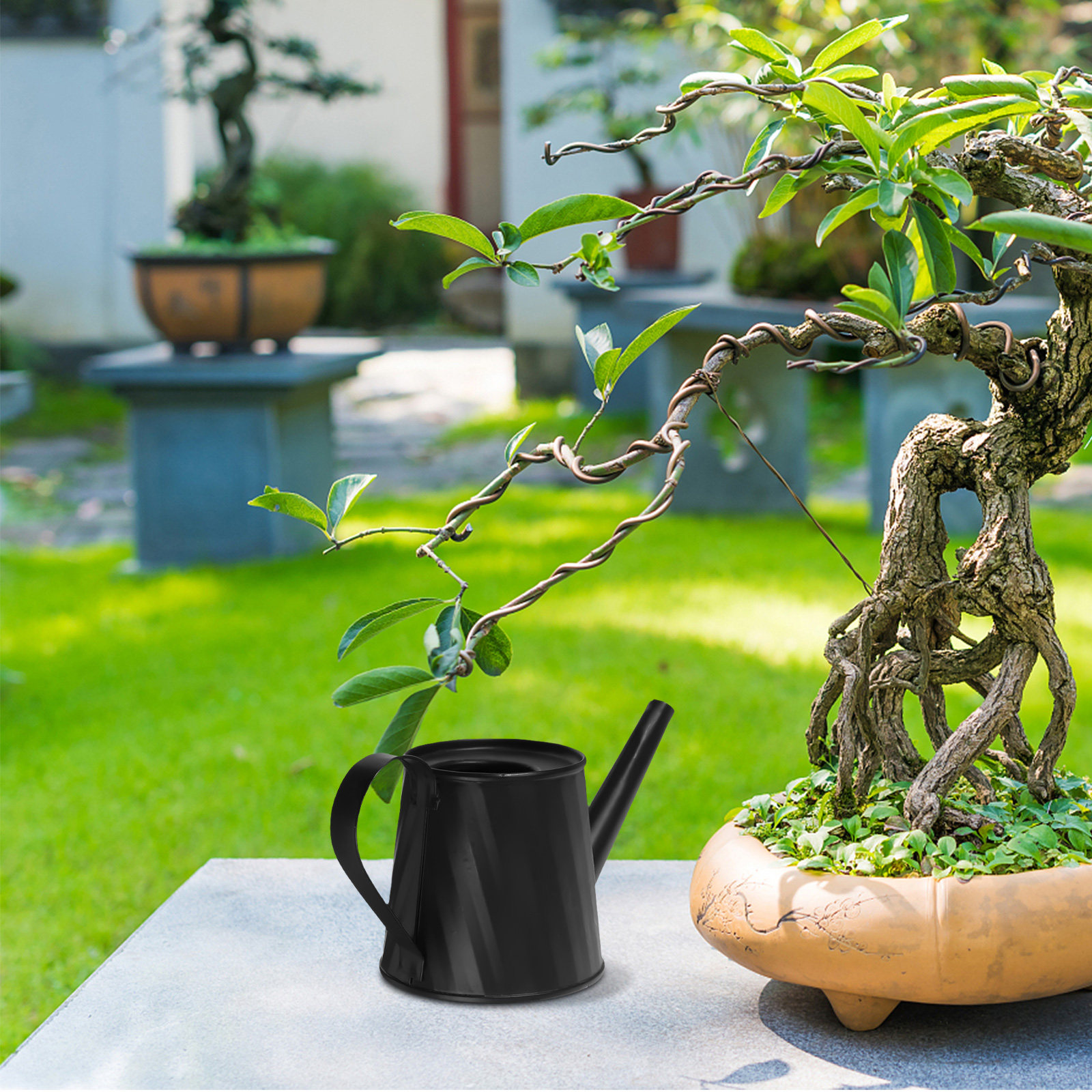 Mini Watering Can for Indoor P - Bonsai Garden Mini のレビューと価格