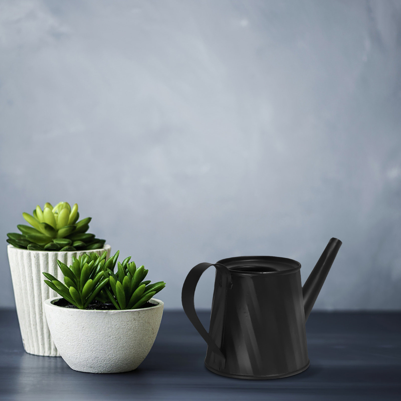 Mini Watering Can for Indoor P - Bonsai Garden Mini のレビューと価格