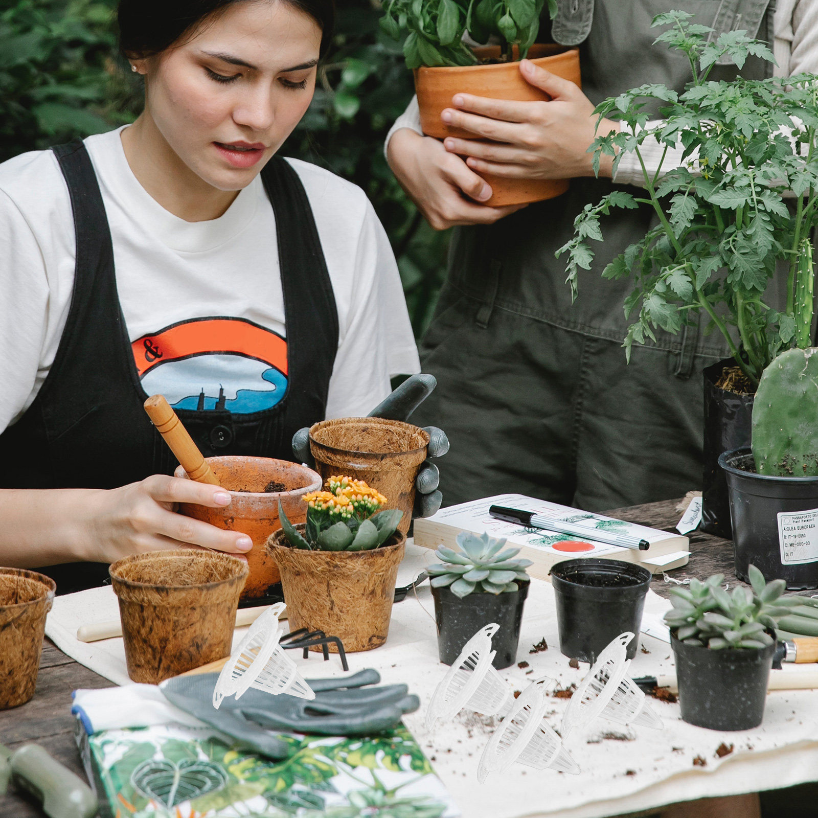 20Pcs Flower Pot Breathable Co - Bonsai Garden Pot のレビューと価格