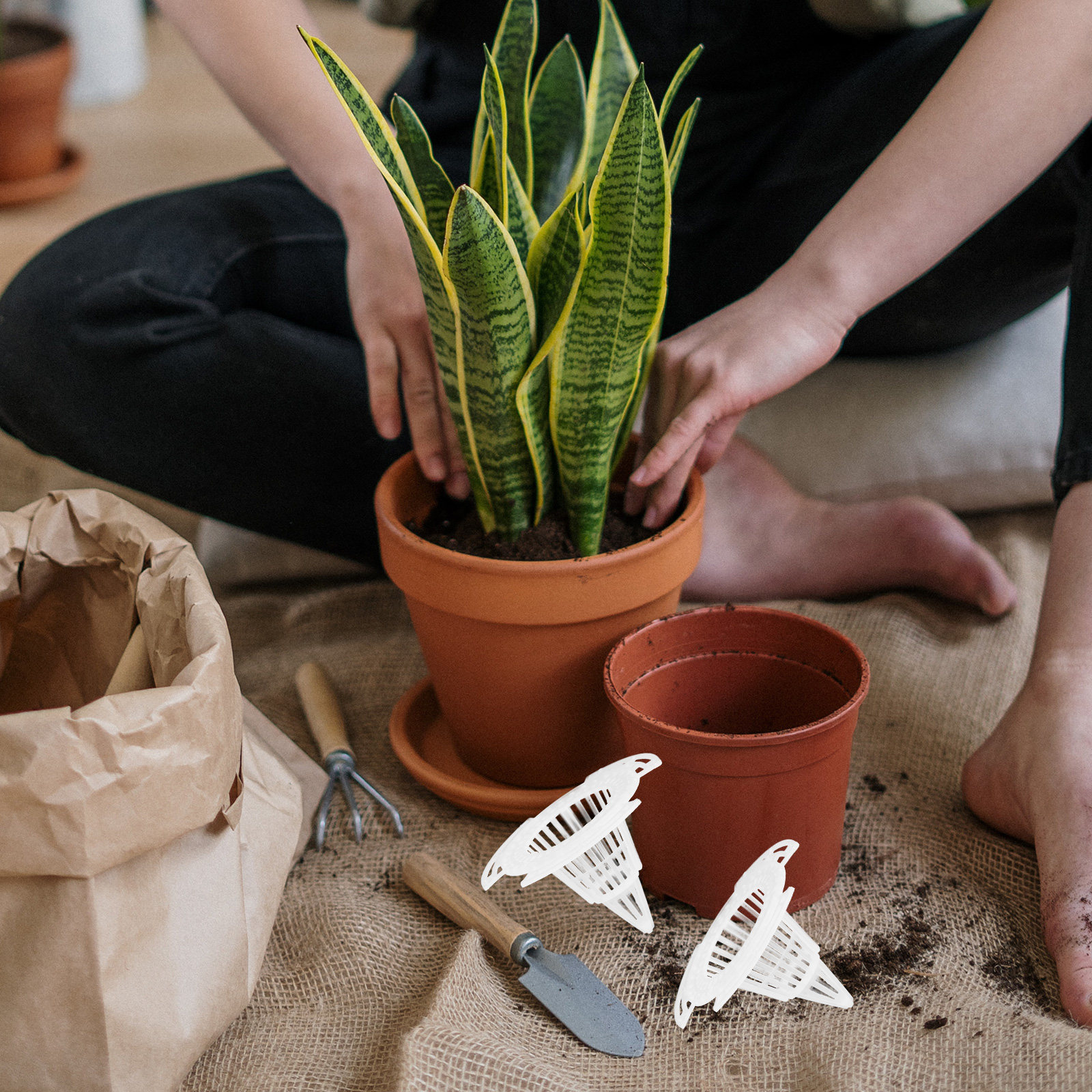 20Pcs Flower Pot Breathable Co - Bonsai Garden Pot のレビューと価格