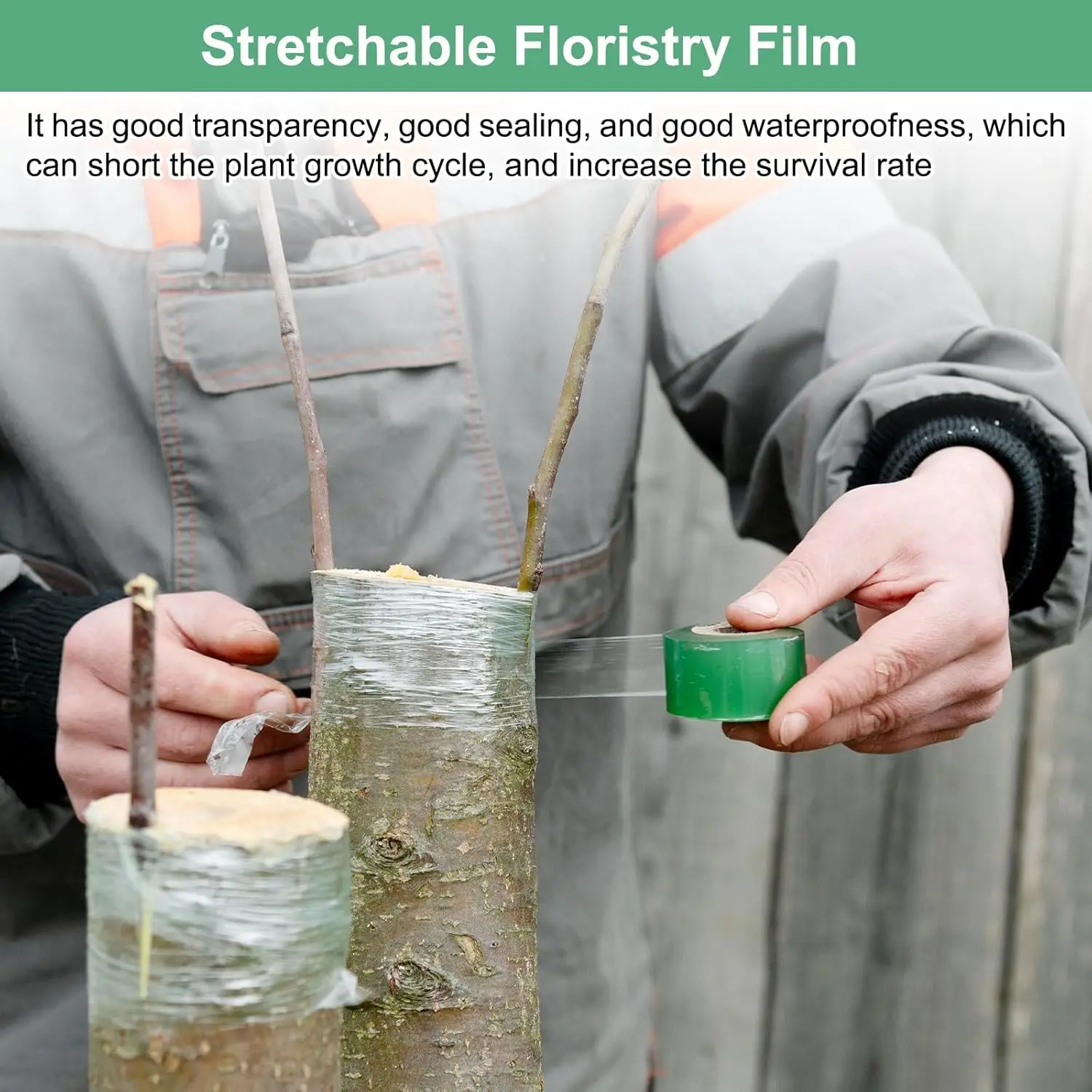 Self-adhesive PE Grafting Tape - Bonsai Garden Tree のレビューと価格