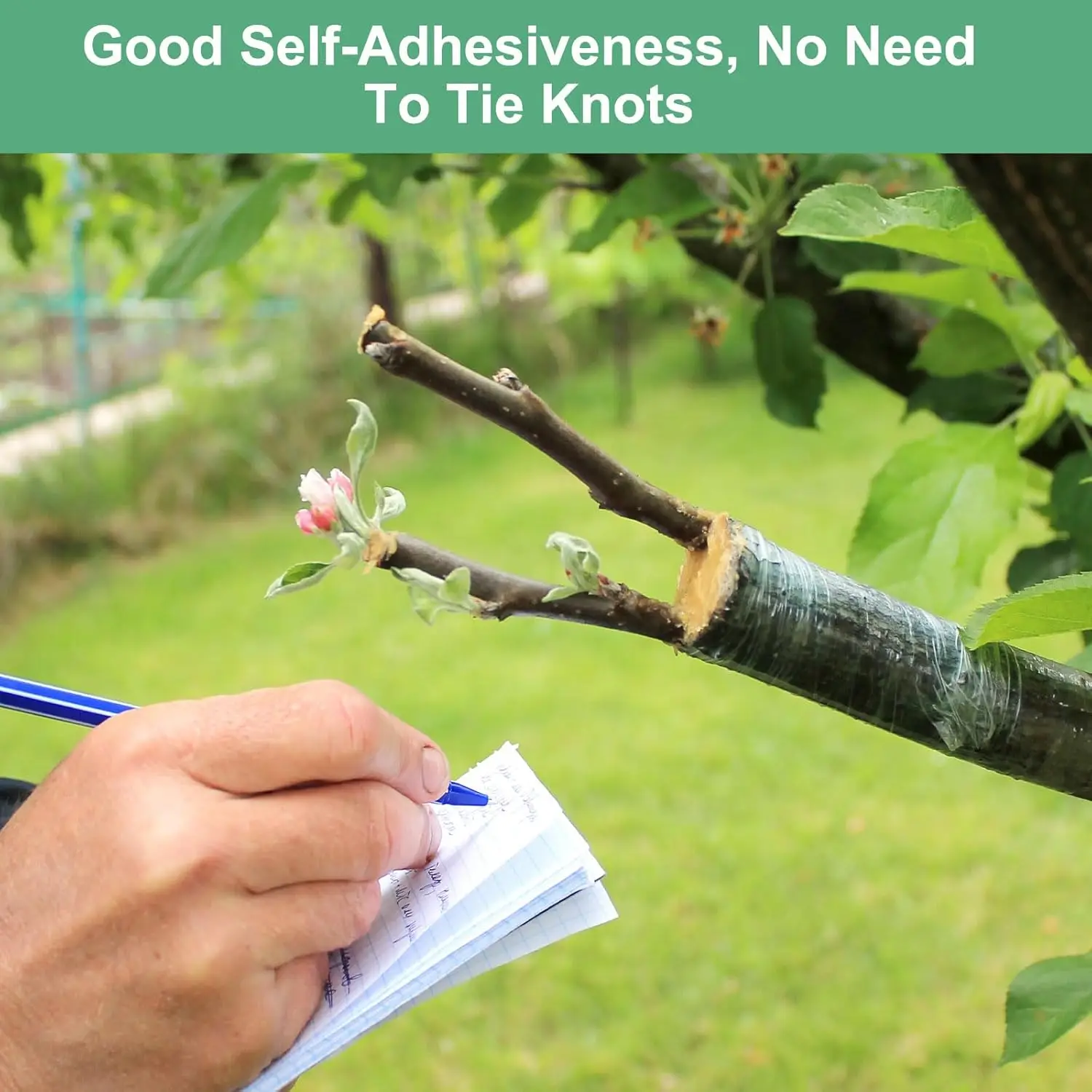 Self-adhesive PE Grafting Tape - Bonsai Garden Tree のレビューと価格