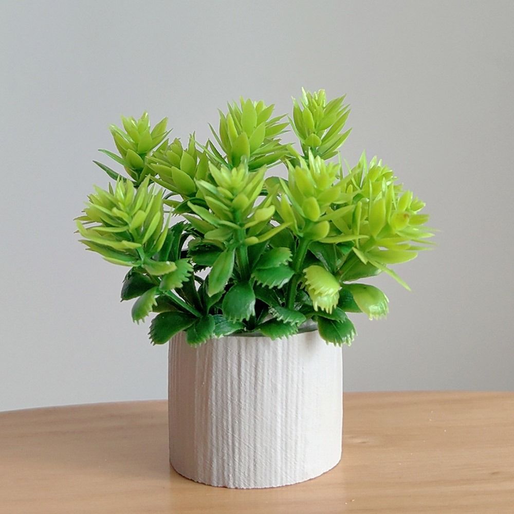 1:6 Scale Dollhouse Potted Pla - Bonsai Garden Mini のレビューと価格