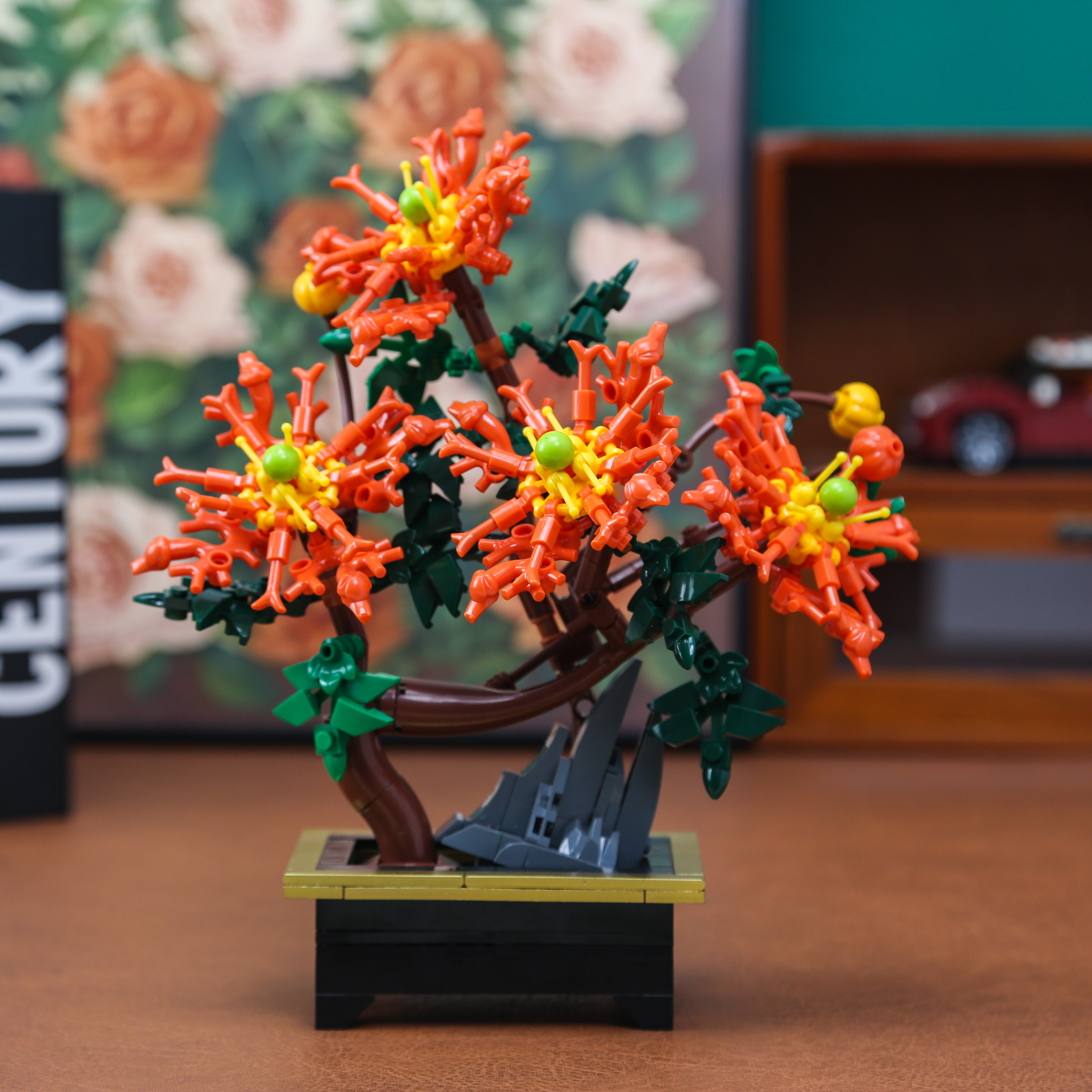 Dragon Claw Chrysanthemum Bons - Bonsai Garden Mini のレビューと価格