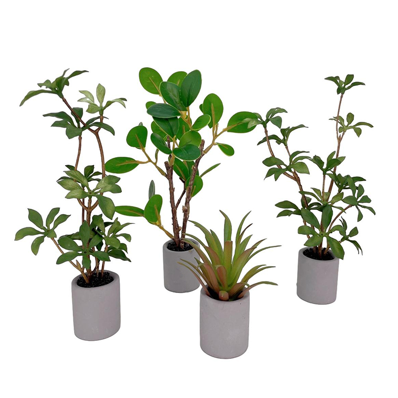 1:6 Dollhouse Miniature Potted - Bonsai Garden Pot のレビューと価格