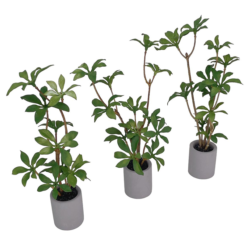 1:6 Dollhouse Miniature Potted - Bonsai Garden Pot のレビューと価格