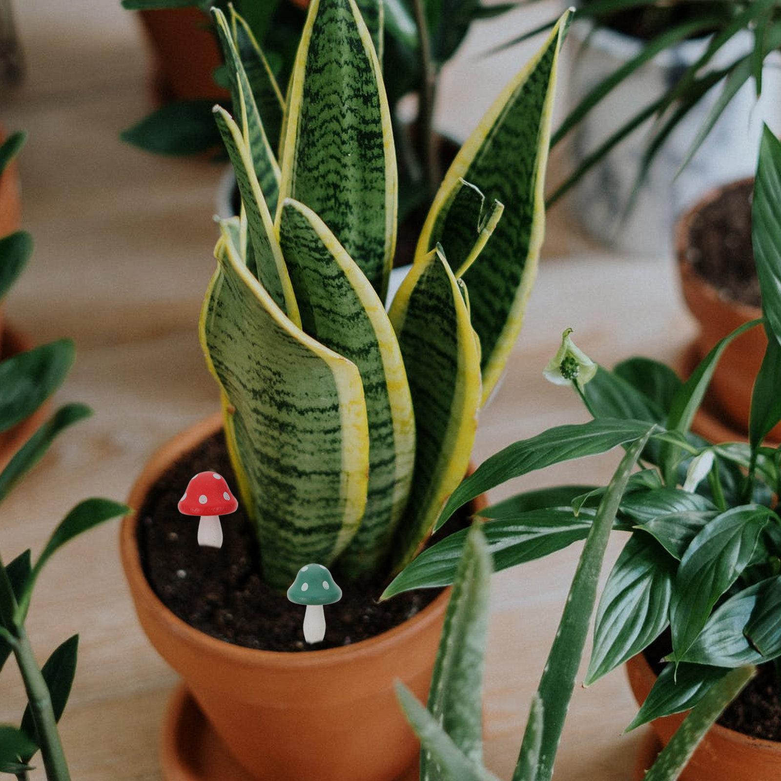 20Pcs Wooden Mushroom Decor Mi - Bonsai Garden Landscape Design のレビューと価格