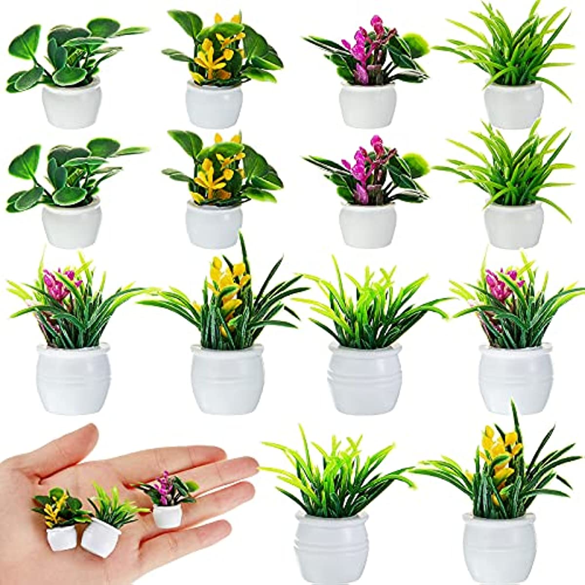 Dollhouse Plant, Miniature Bon - Bonsai Garden Mini のレビューと価格