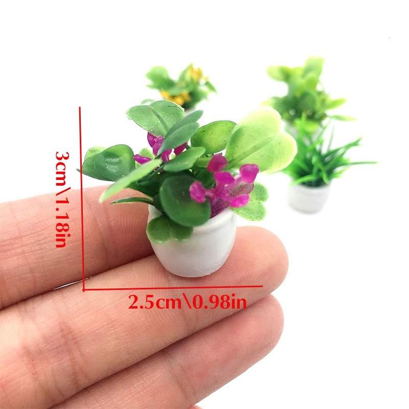 Dollhouse Plant, Miniature Bon - Bonsai Garden Mini のレビューと価格