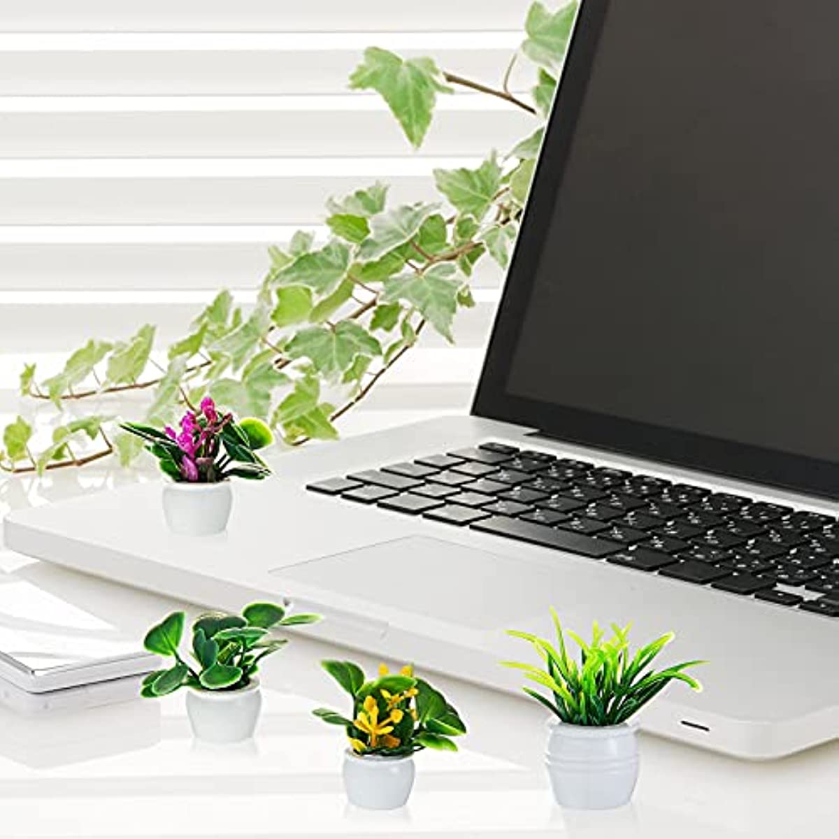 Dollhouse Plant, Miniature Bon - Bonsai Garden Mini のレビューと価格