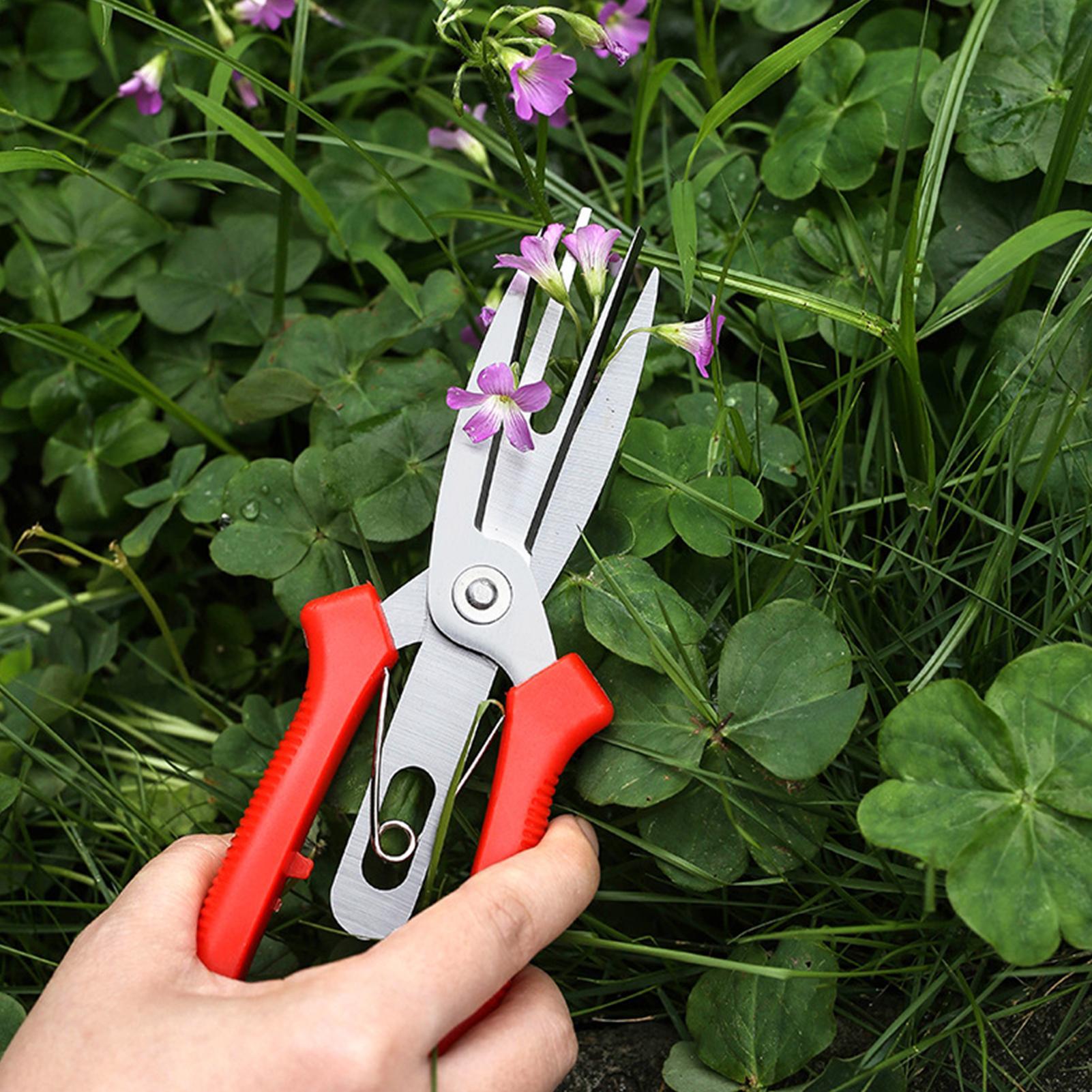 Garden Shears Stainless Steel  - Bonsai Garden Tree のレビューと価格