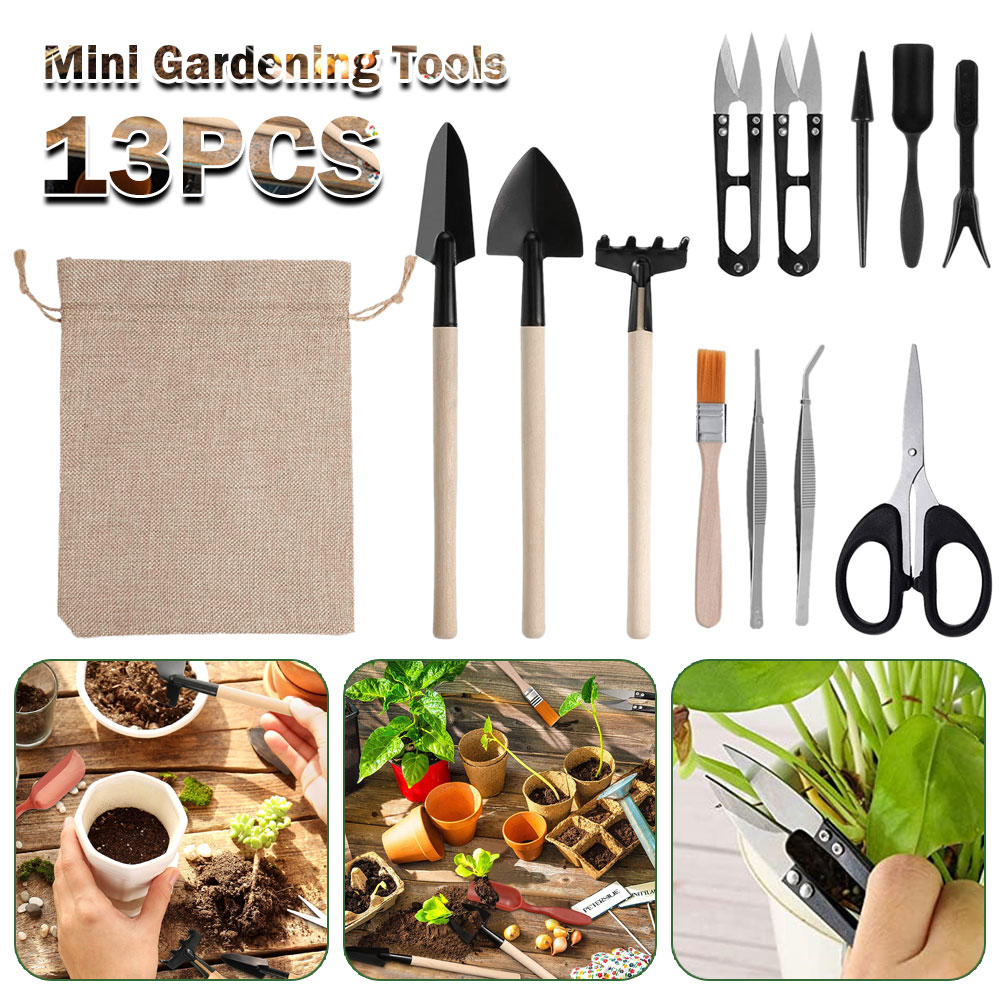 Succulent Plants Tools Mini Ga - Bonsai Garden Mini のレビューと価格