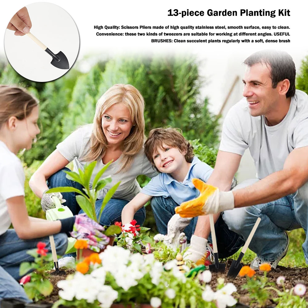 Succulent Plants Tools Mini Ga - Bonsai Garden Mini のレビューと価格