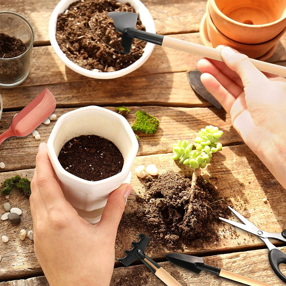 Succulent Plants Tools Mini Ga - Bonsai Garden Mini のレビューと価格