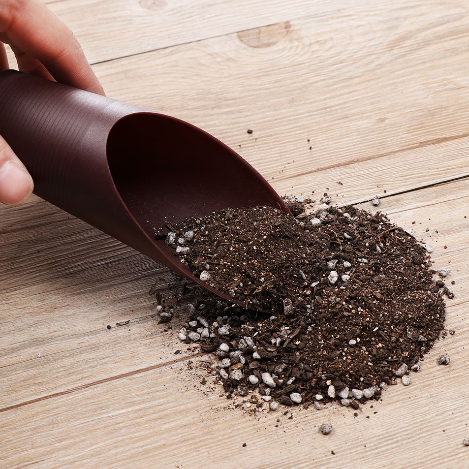 1PC Plastic Soil Shovel Cup Fo - Bonsai Garden Mini のレビューと価格