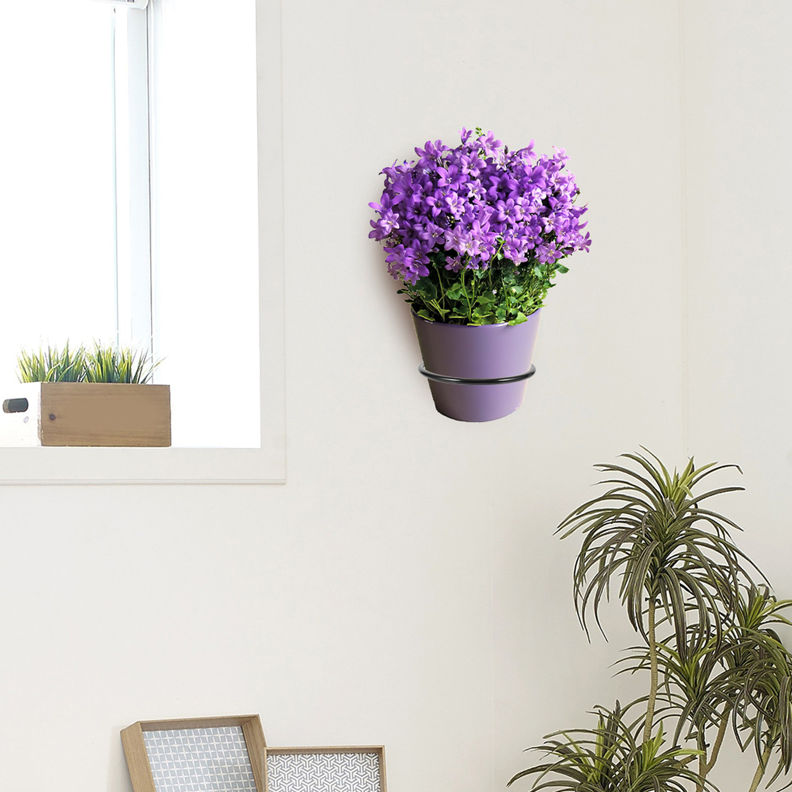 3Pcs Plant Pot Holder Wall Mou - Bonsai Garden Pot のレビューと価格