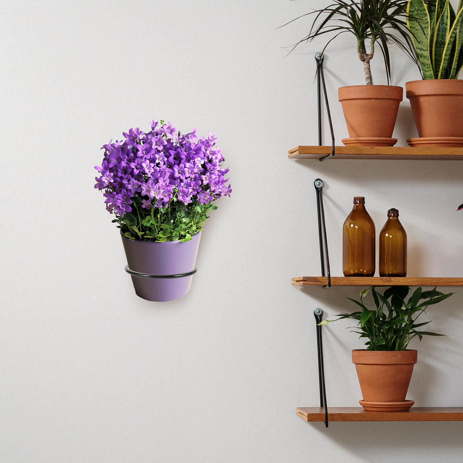 3Pcs Plant Pot Holder Wall Mou - Bonsai Garden Pot のレビューと価格